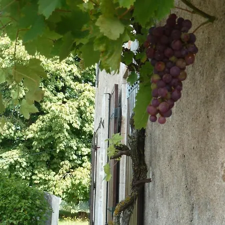 A L'ombre Du Marronnier ベッド・アンド・ブレックファスト 4*