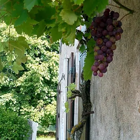 A L'ombre Du Marronnier