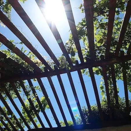 A L'ombre Du Marronnier Bed & Breakfast