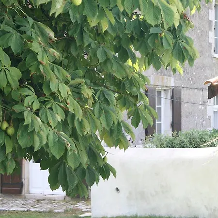 ベッド・アンド・ブレックファスト A L'ombre Du Marronnier La Péruse