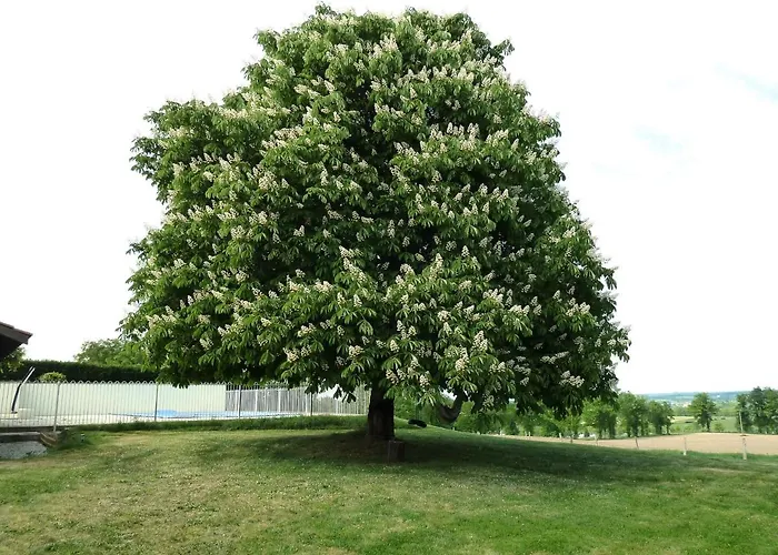 Bed & Breakfast A L'ombre Du Marronnier 4*