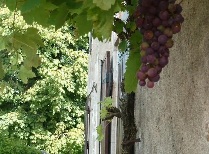 A L'ombre Du Marronnier Bed & Breakfast 4*