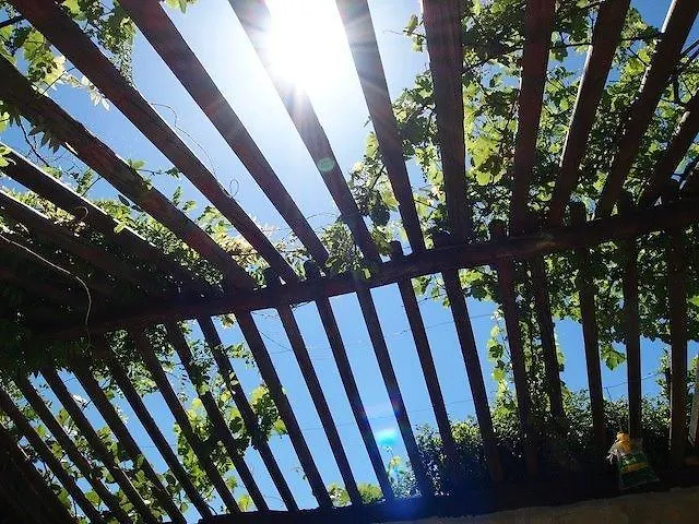 A L'ombre Du Marronnier Bed & Breakfast