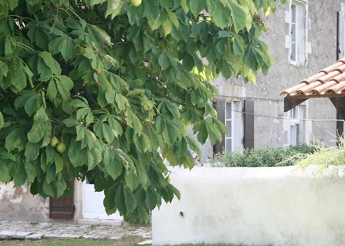 Bed & Breakfast A L'ombre Du Marronnier La Peruse